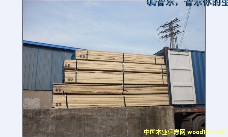 �����S��ח����Z���