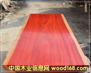 �t����178*82