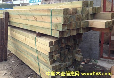 ����ľ��Ԕ����B