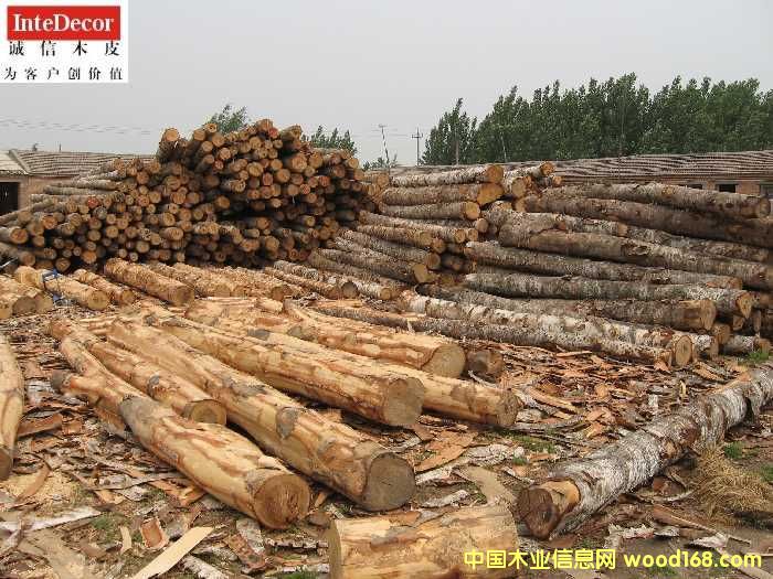 ԭľ��Ԕ��(x��)��B