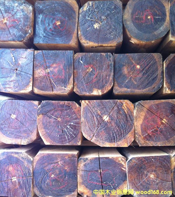 ��˹�_(d��)���������ľ����