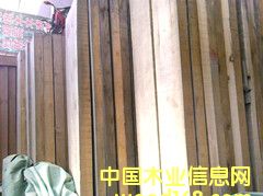 [��] ���_˹����