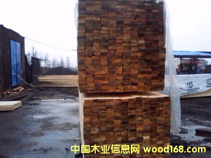 ����ľ����Ԕ����B