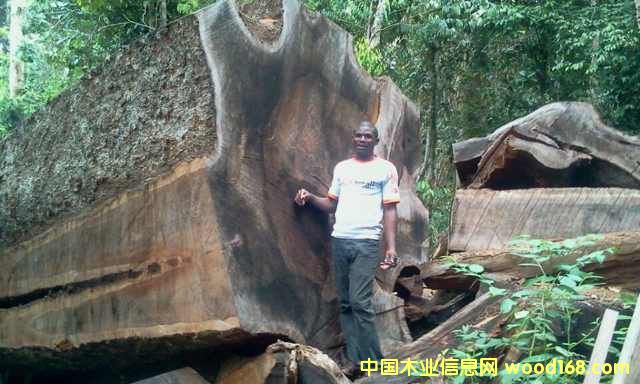 ����ľ��Ԕ��(x��)��B