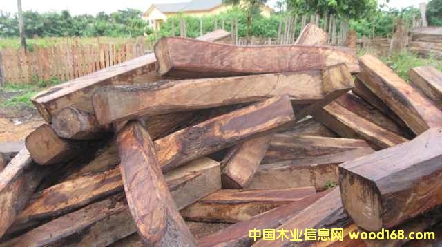 �������Ԕ��(x��)��B