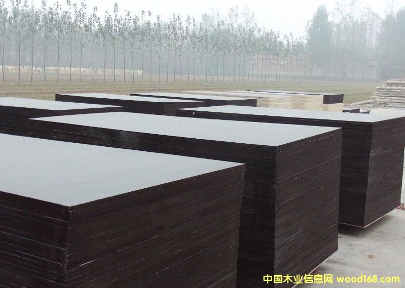 [��] ���S�r�ӱ��S��ֱ�N2013��Ʒ�|(zh��)��ˮ��