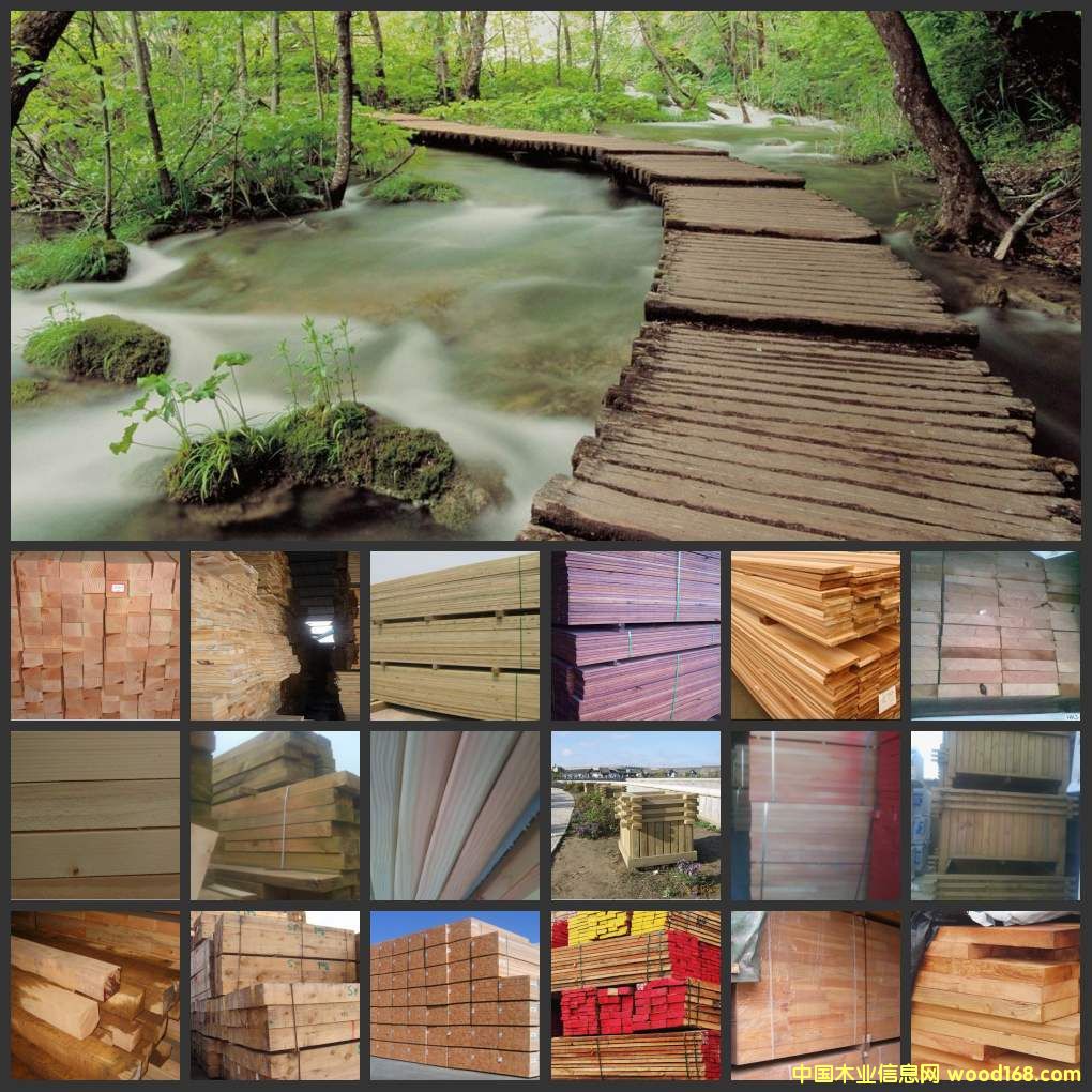 �̈́�ľ/�t�̈́�ľ/�S�̈́�ľ