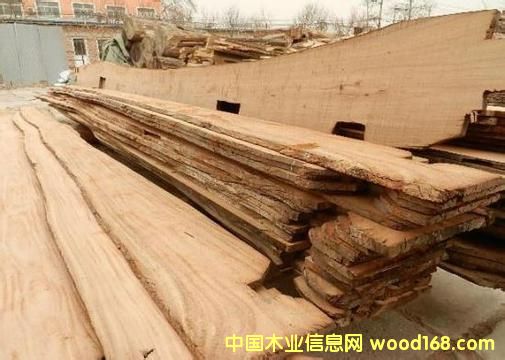 ɽ�|��������ľ��Ԕ����B