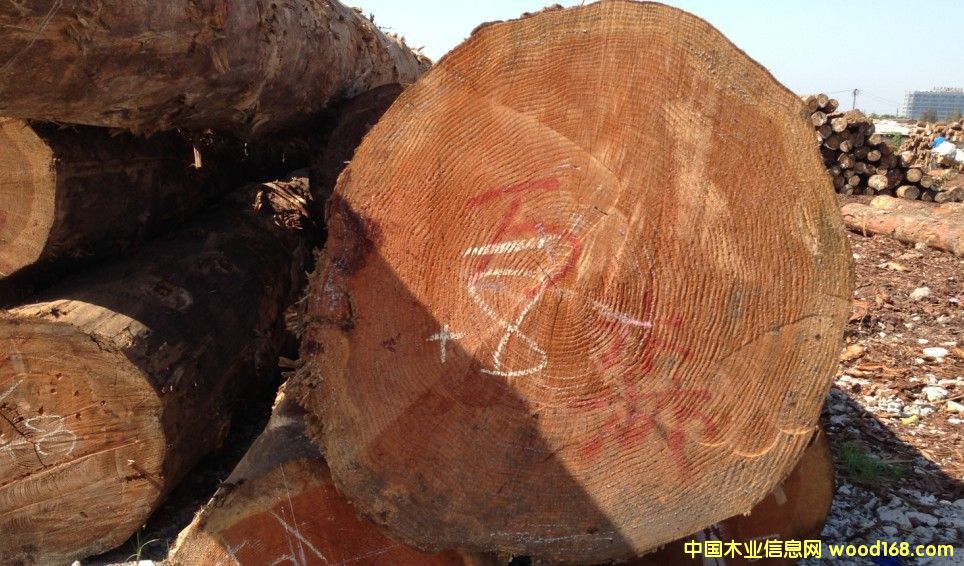 �����ɵ�Ԕ��(x��)��B