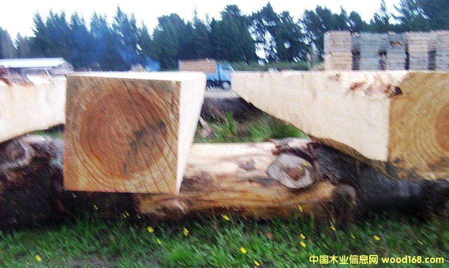 ��������ľ��Ԕ��(x��)��B