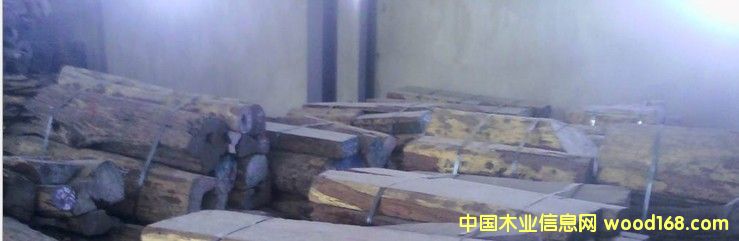 �ϓ� ��t��֦ �̷���