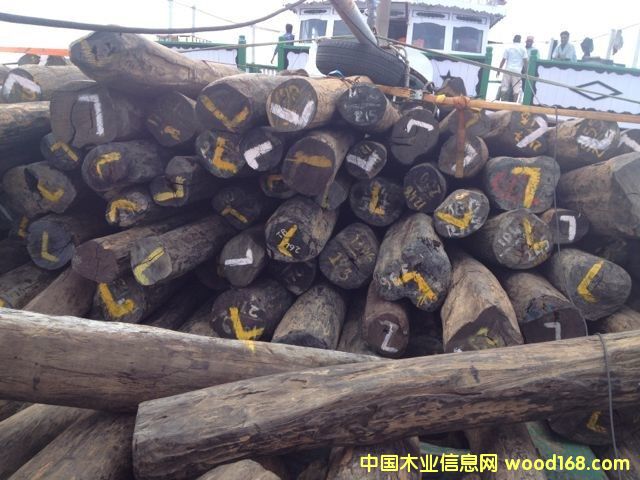 小葉紫檀的詳細(xì)介紹