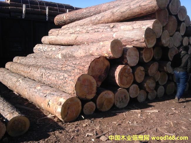 �|����������������ɵ�Ԕ��(x��)��B