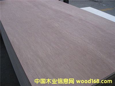 ���ǹ��z�ϰ��Ԕ��(x��)��B