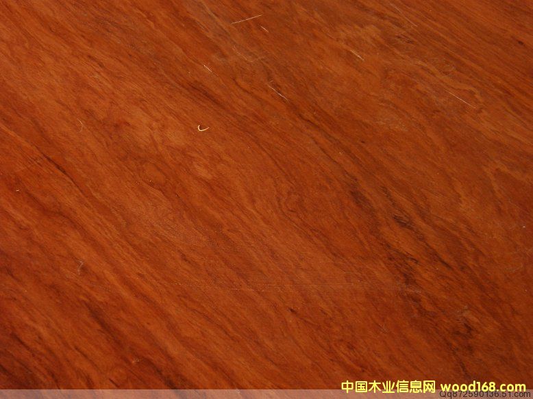 ��̖ 84-21��Ԕ��(x��)��B