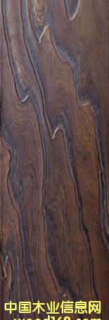 ɭ�����ذ��Ԕ��(x��)��B