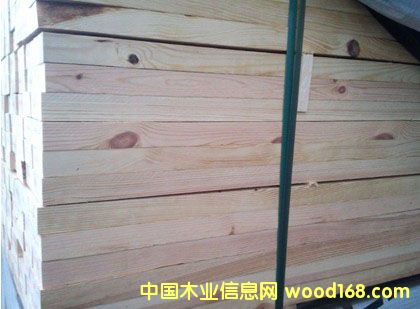 赤松的詳細介紹