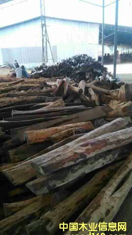 ��ֺ�S̴��2��Ԕ��(x��)��B