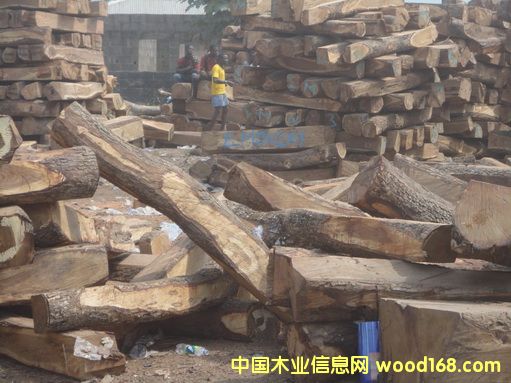 �����S�����Ԕ��(x��)��B