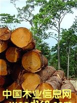 �һ��ĵ�Ԕ��(x��)��B