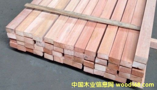 柳桉的詳細(xì)介紹