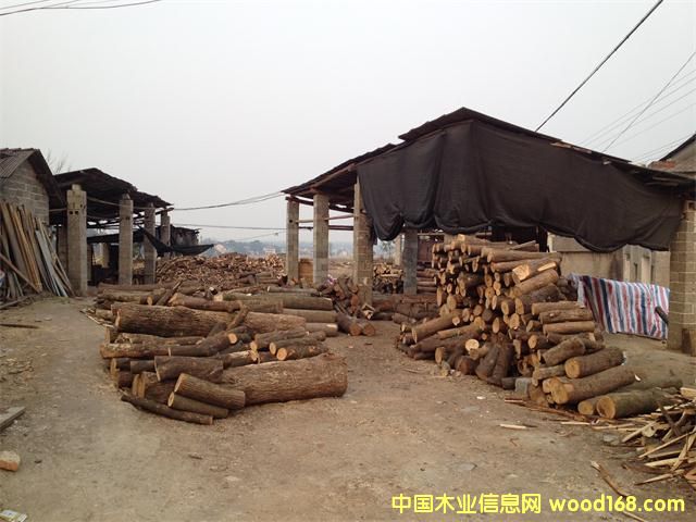 �sľ��Ԕ��(x��)��B