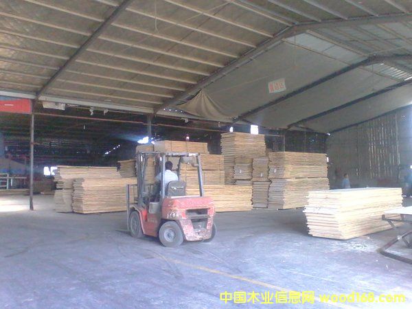 �S�^(q��)��Ԕ����B