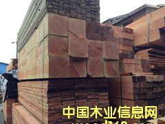 ��������ľ