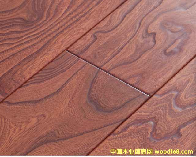 ��ľ����y