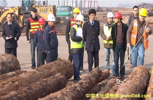 �����h(hu��n)̫ƽ��ľ�ęz�־��L��̫�}���M��ԭľ�͙z