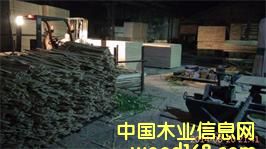 [��] �z�ϰ� ���Ӱ� LVL���Ӱ� ���Ͱ��b�� ����