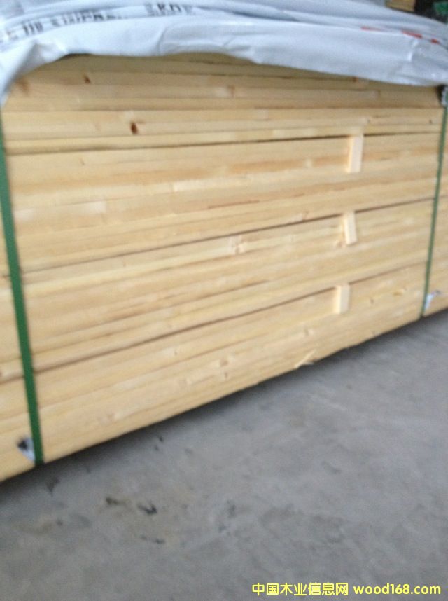 云杉的詳細介紹