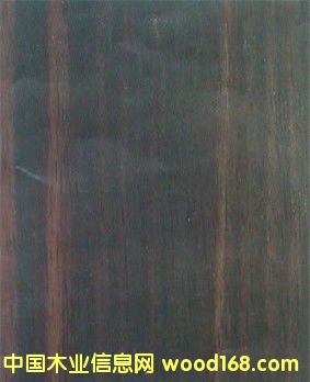 ������ľ��Ԕ����B