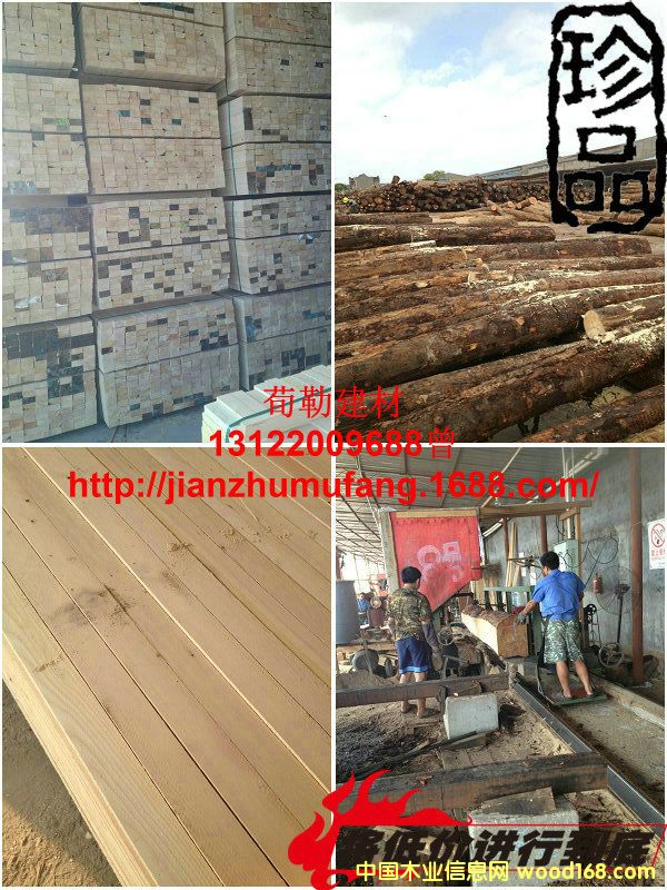 ������ľ��Ԕ����B