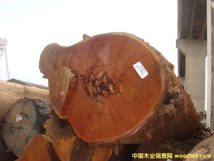 �����Sɰľԭľ���̓r��ؐ �޸ĵ�Ԕ����B