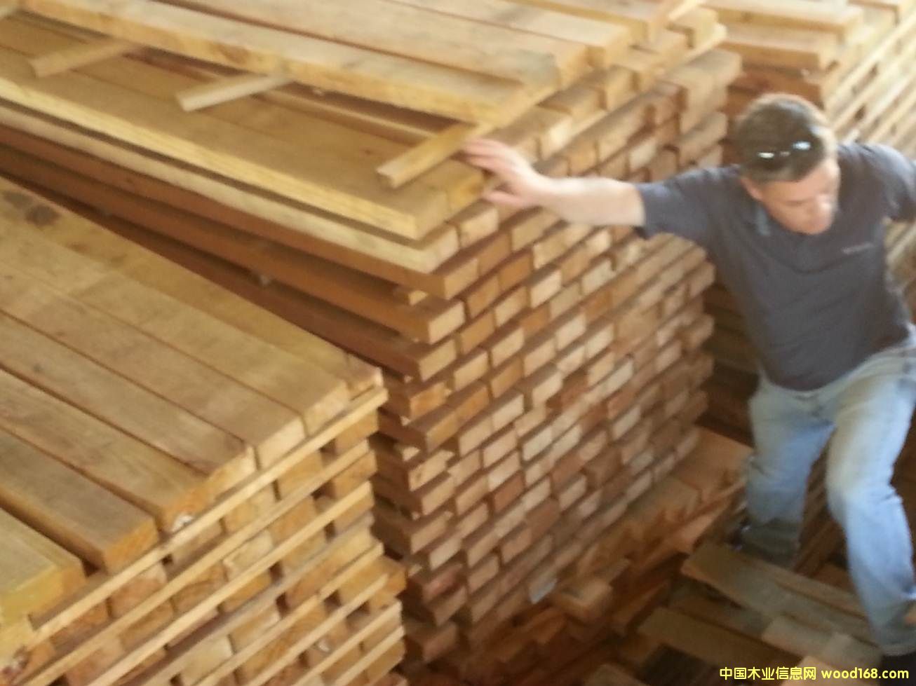 ݗ���ɵ�Ԕ����B