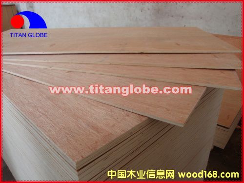 Bingtangor Plywood-Titan Globe��Ԕ��(x��)��B