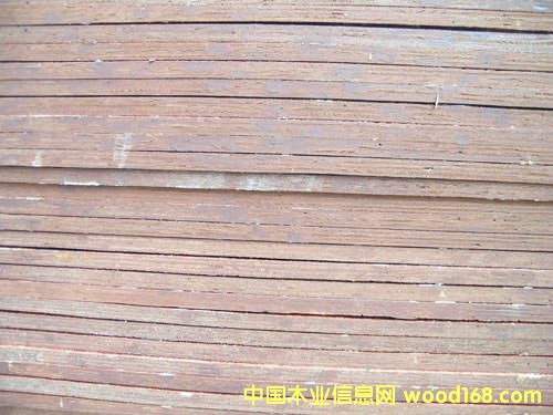 ���������z��-ȫ��ľ���Lɳ��ͨľ�I(y��)���l(f��)��Ԕ����B