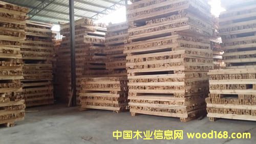 ����ѩ�ɡ����M��ľ��ľ�����W�������Lɳ����ѩ���N�۵�Ԕ����B