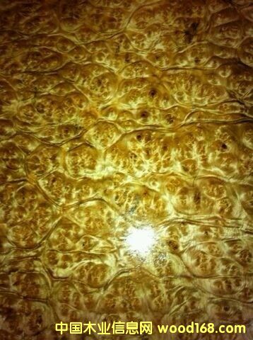 �S������Ԕ��(x��)��B