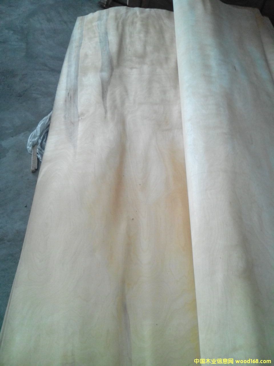 �ذ���屳��о���Ԕ��(x��)��B