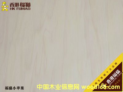 ��۸�؈С�O��1��Ԕ��(x��)��B