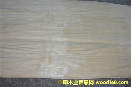 ��ľƤ�ӵ�Ԕ��(x��)��B