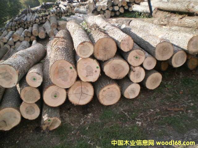 ˮ����ԭľ��Ԕ��(x��)��B