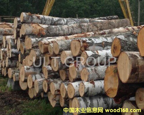 �����m��ľ��Ԕ��(x��)��B