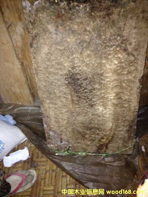 �S�������Ԕ����B