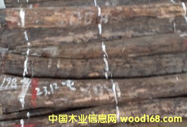 ���~��̴��Ԕ��(x��)��B