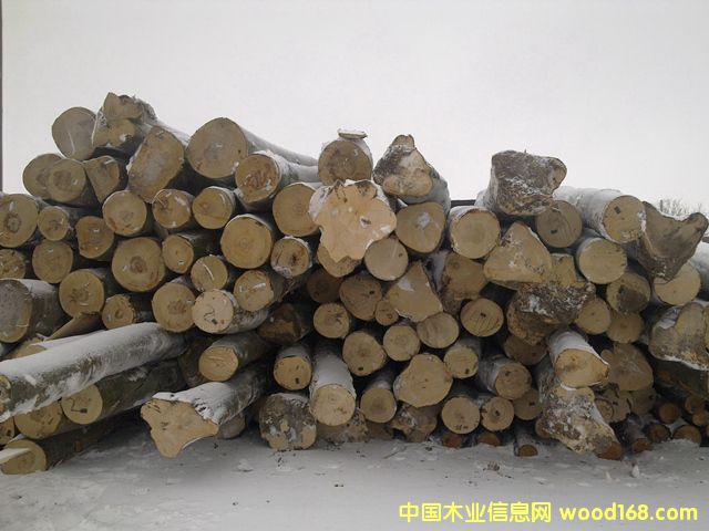 ��ľԭľ��Ԕ��(x��)��B