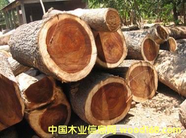 �V��|����|�Ϻ������M(j��n)�ڈ�(b��o)�P(gu��n)���P(gu��n)�\(y��n)ݔ����