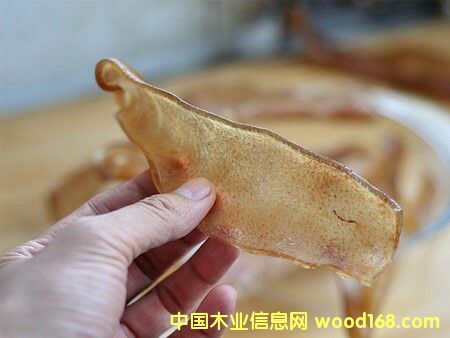 ������˹���iƤ���O(sh��)���Ԕ��(x��)��B